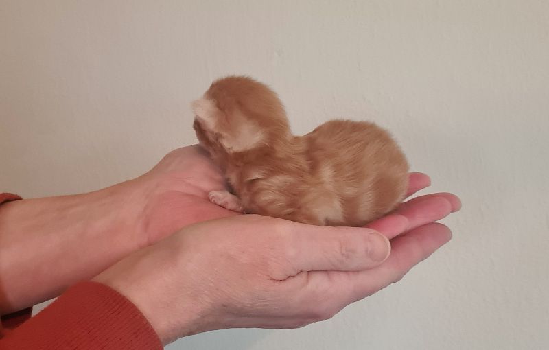 01PippiLotta1Wochealt