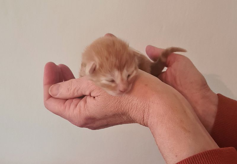 02PippiLotta1Wochealt