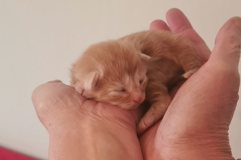 03PippiLotta1Wochealt